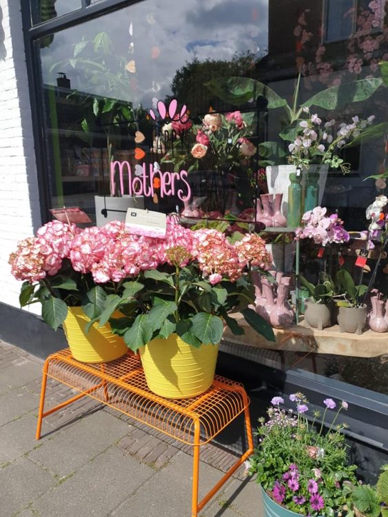 BUITEN PLANTEN —