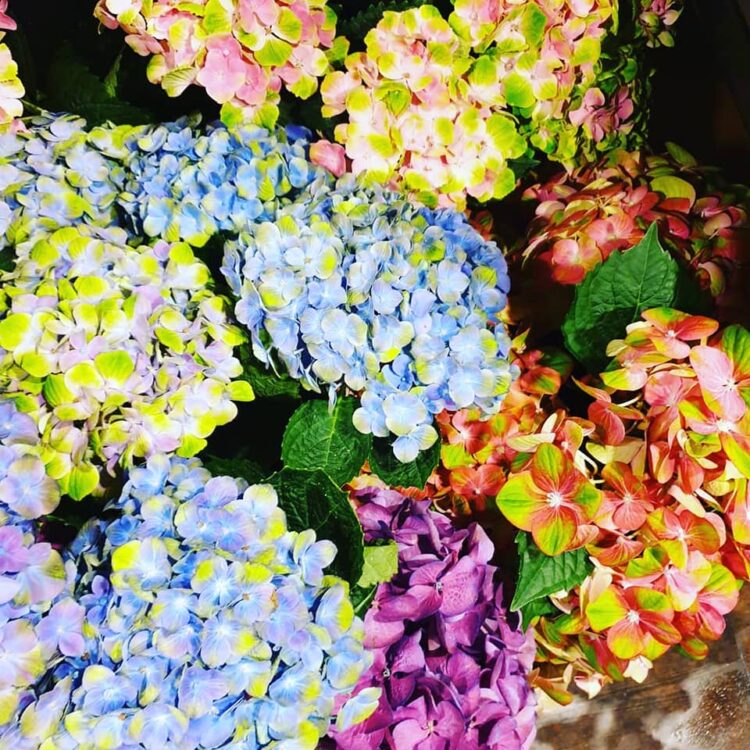 MOEDERDAG BLOEMEN — 🌿❤😍🌸