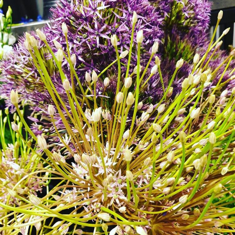 MOEDERDAG BLOEMEN — 🌿❤😍🌸