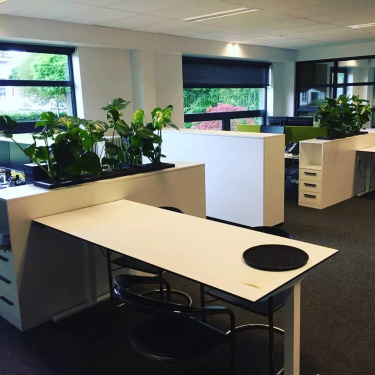 PLANTEN STYLING —