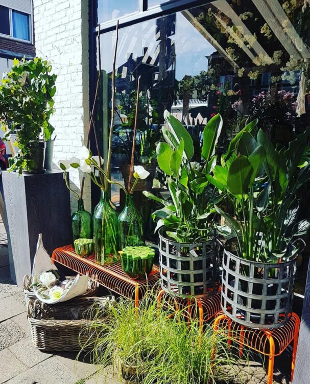 Let’s go outside! 🌿🌿