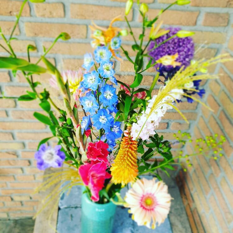 HI SUMMER FLOWERS —