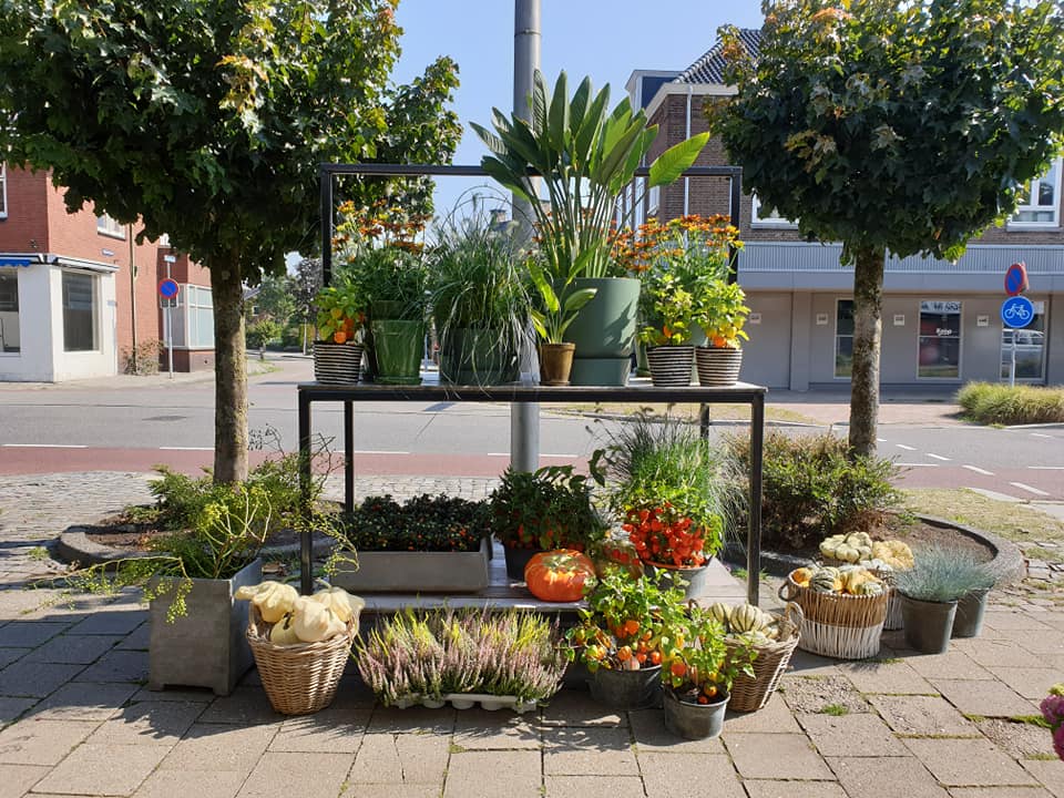 BUITEN PLANTEN —