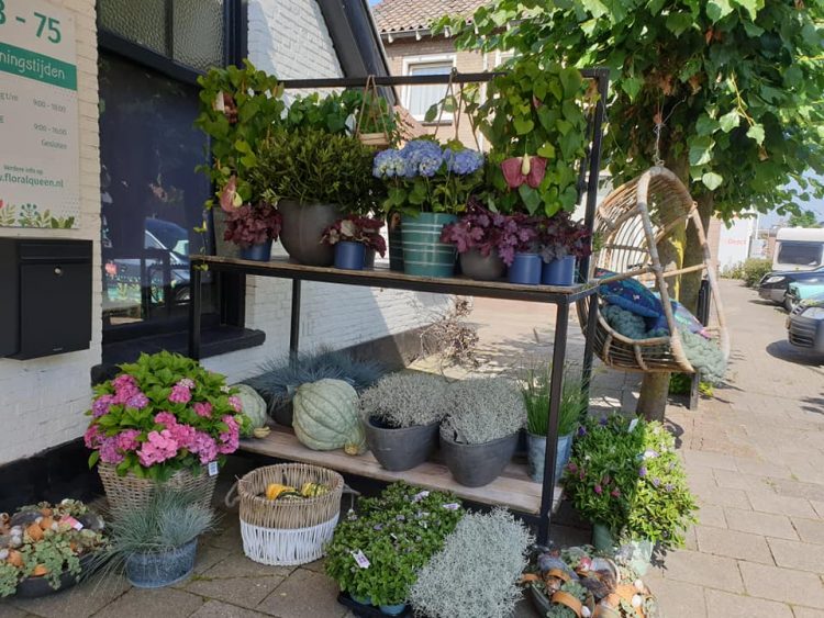 BUITEN PLANTEN —
