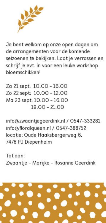 OPEN DAGEN WORKSHOPS– 🌸🌻🌵