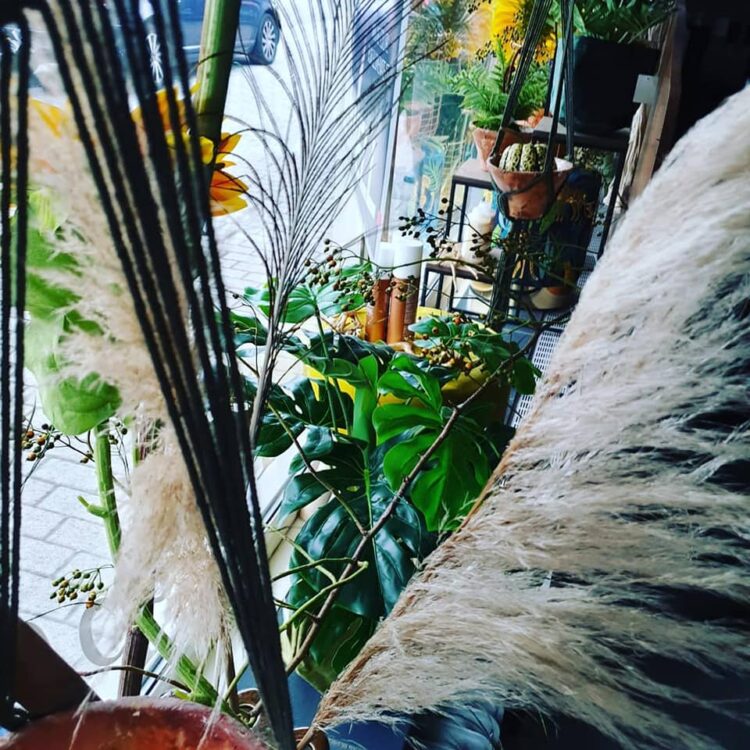 ETALAGE — 🌾🌿🌻🐆