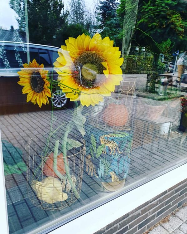 ETALAGE — 🌾🌿🌻🐆