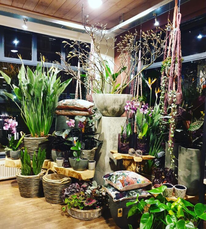 FRISSE GROENE WINKEL — 🌿🌿🌿