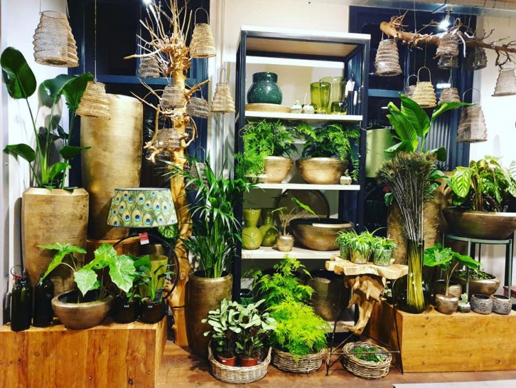 FRISSE GROENE WINKEL — 🌿🌿🌿