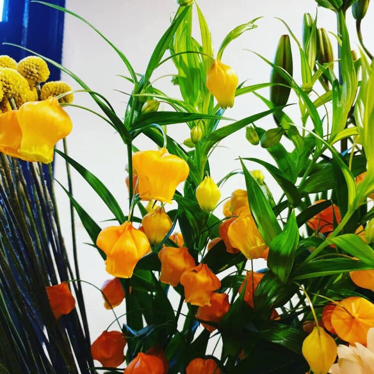 BLOEMEN–