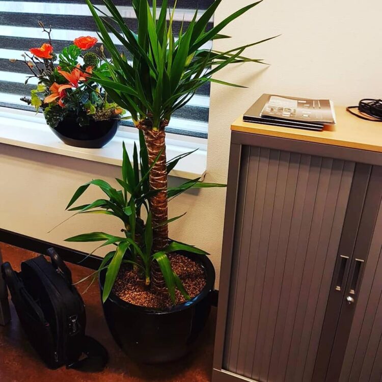 BEDRIJFSSTYLING —