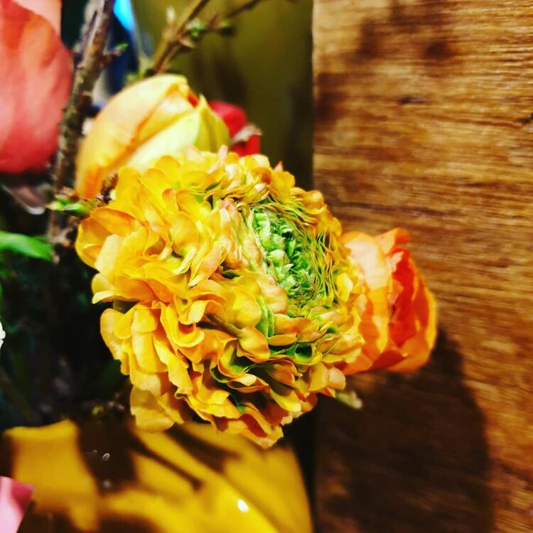 KLEUR IN HUIS — 💛🌿🌸