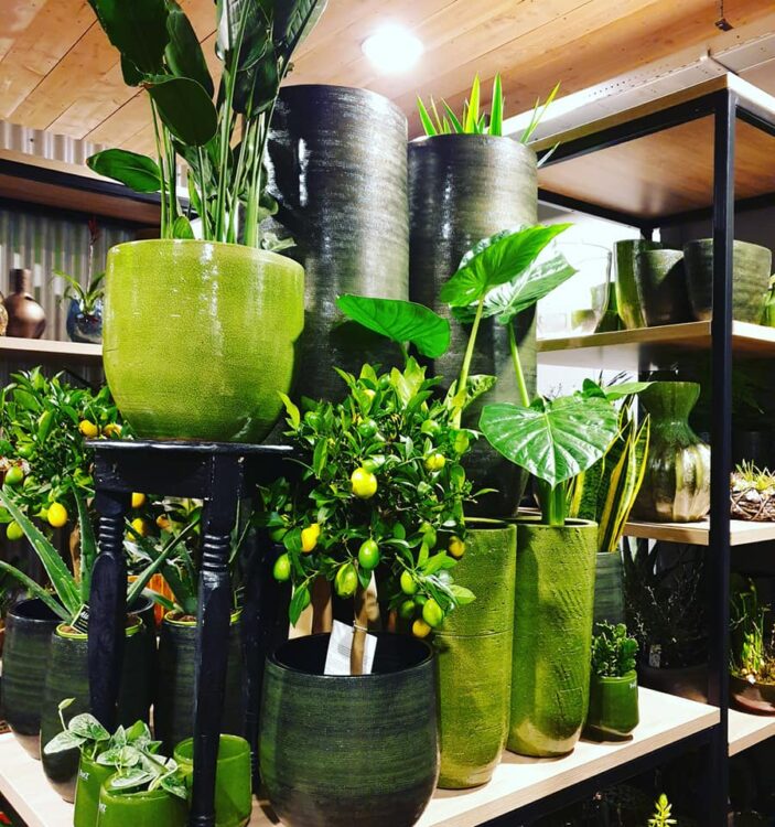 GO GREEN — 🌿💚🍃