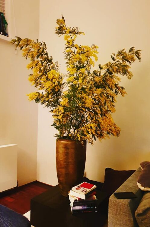 BLIJE KLANT — 💛💛💛