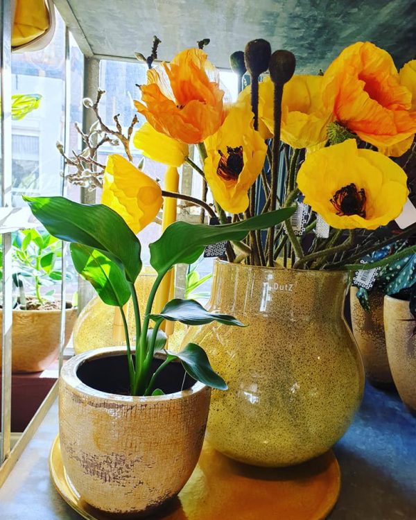 HAPPY YELLOW — 💛💛💛