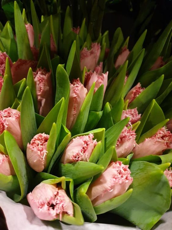WEEKEND BLOEMEN —