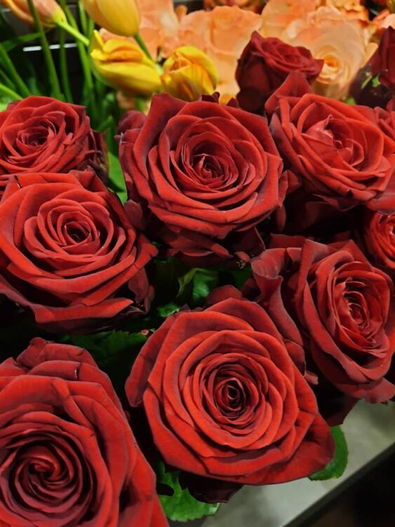 VALENTIJN BLOEMEN — 💗❤💗