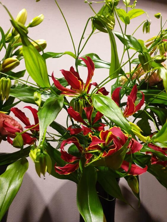 WEEKEND BLOEMEN —