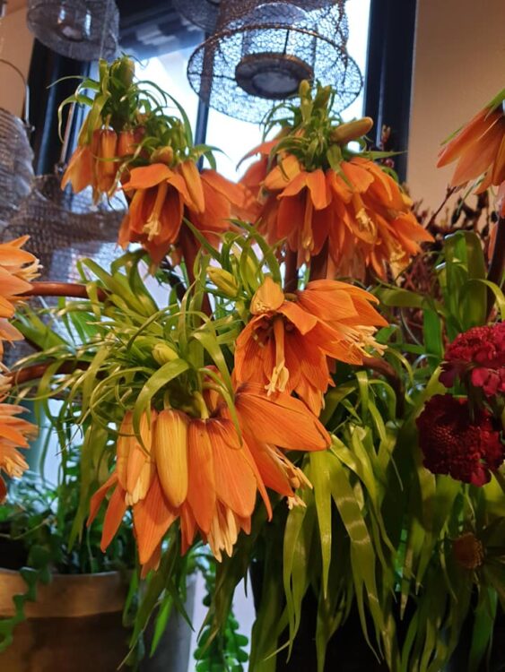 VALENTIJN BLOEMEN — 💗❤💗