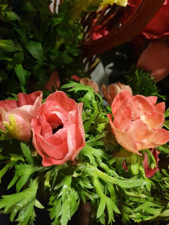 VALENTIJN BLOEMEN — 💗❤💗