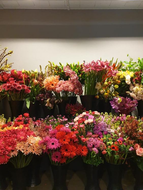 VALENTIJN BLOEMEN — 💗❤💗