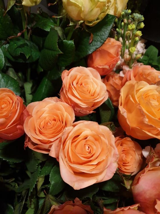 VALENTIJN BLOEMEN — 💗❤💗