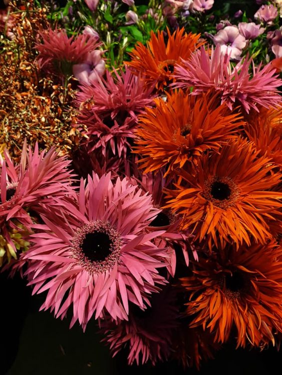 VALENTIJN BLOEMEN — 💗❤💗