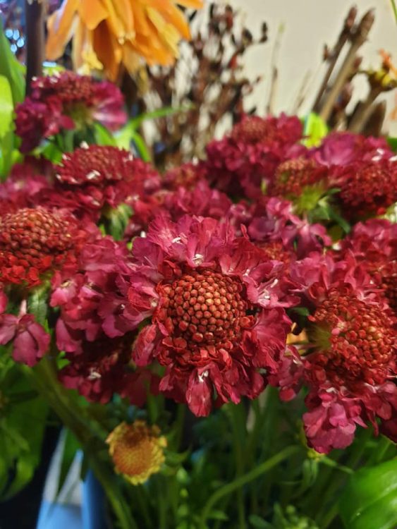 VALENTIJN BLOEMEN — 💗❤💗