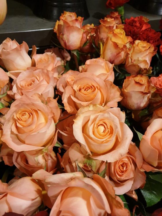 VALENTIJN BLOEMEN — 💗❤💗