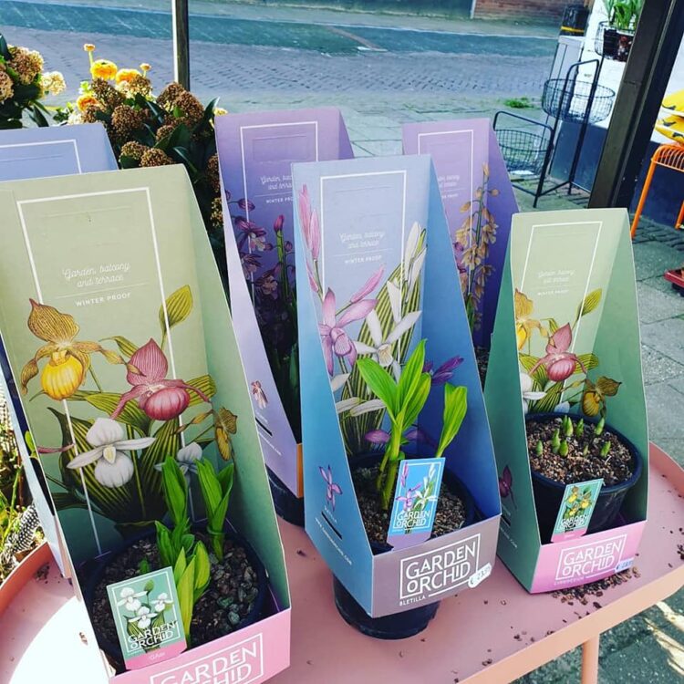NIEUWE PLANTEN — 🌼🌸🌿🌺