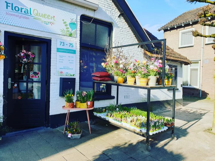 NIEUWE PLANTEN — 🌼🌸🌿🌺