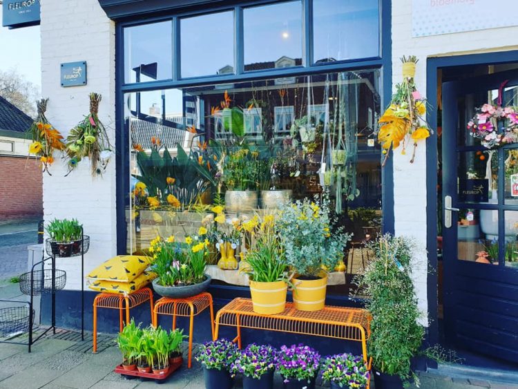 NIEUWE PLANTEN — 🌼🌸🌿🌺