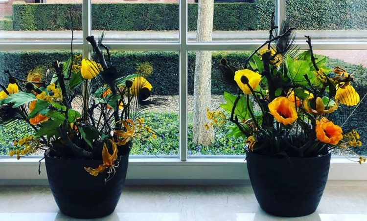 GROEN STYLING — 🌿💛🌾