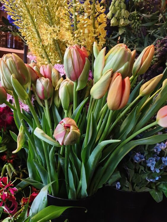 FRESH FLOWERS —
