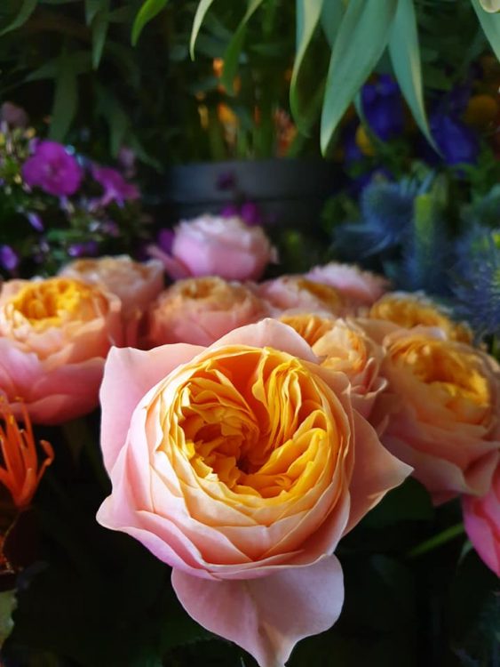 FRESH FLOWERS —