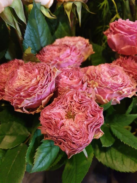 FRESH FLOWERS —