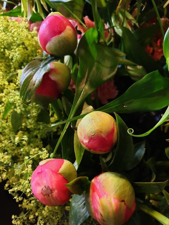 FRESH FLOWERS —