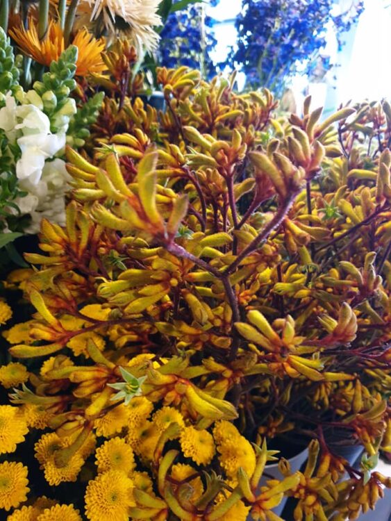 FRESH FLOWERS —