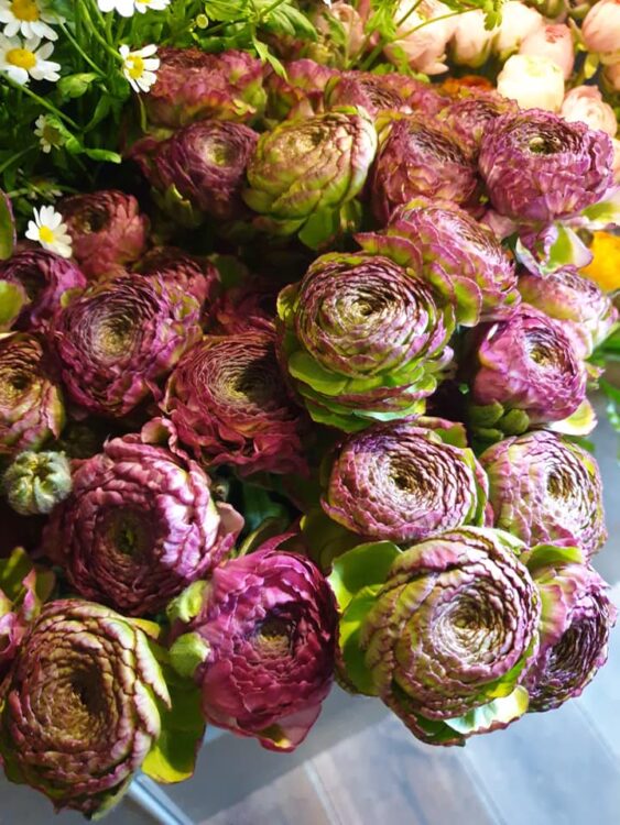 FRESH FLOWERS —