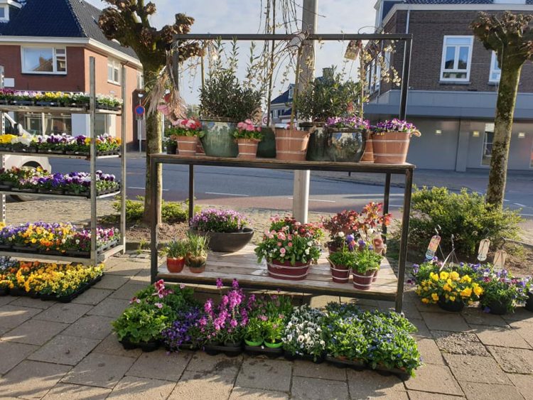 BUITEN PLANTEN– 🌿🌿🌿
