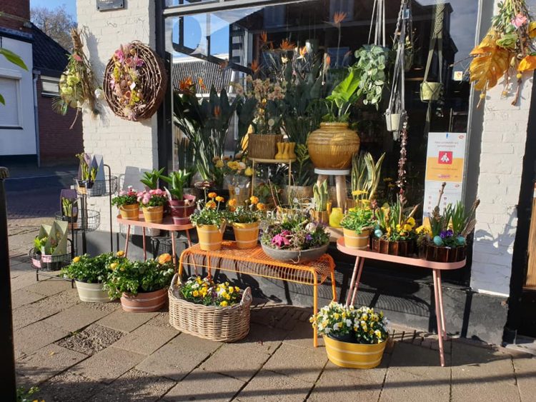 BUITEN PLANTEN– 🌿🌿🌿