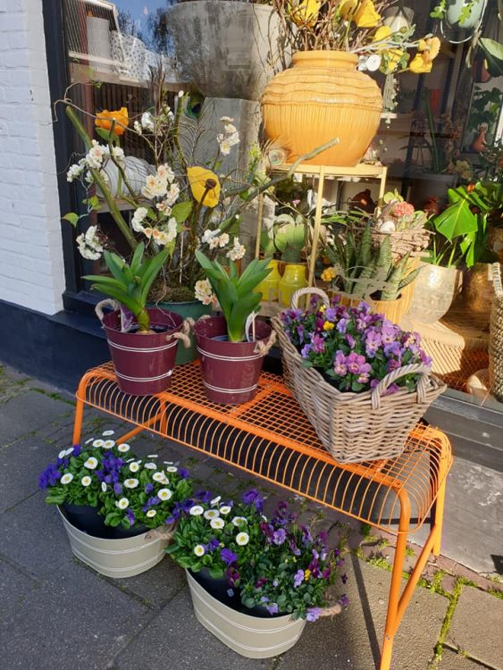 BUITEN PLANTEN– 🌿🌿🌿