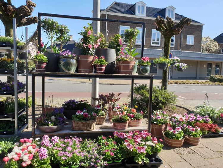 Maak het buiten gezellig — ☀️🌸🌸🌿🌼