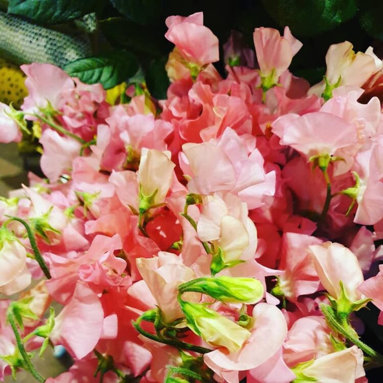 PAAS BLOEMEN —