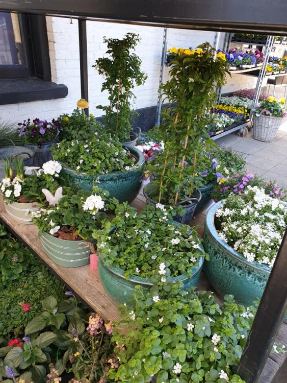 Maak het buiten gezellig — ☀️🌸🌸🌿🌼