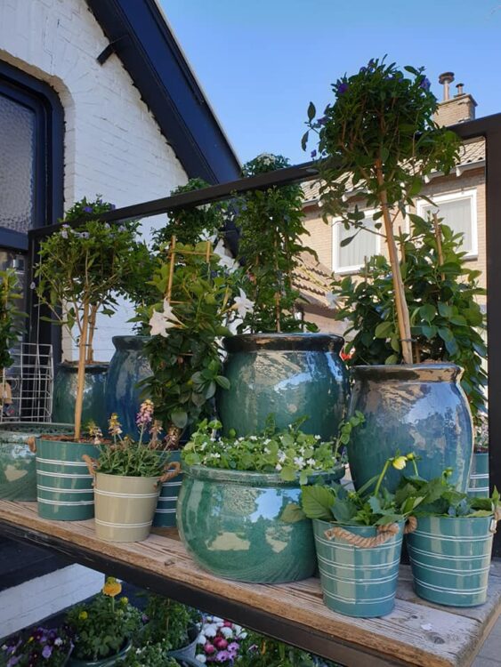 Maak het buiten gezellig — ☀️🌸🌸🌿🌼