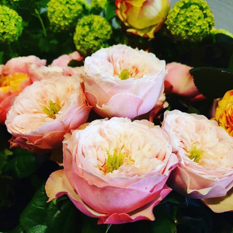PAAS BLOEMEN —