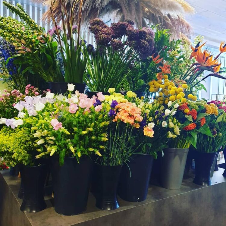 BLOEMEN —