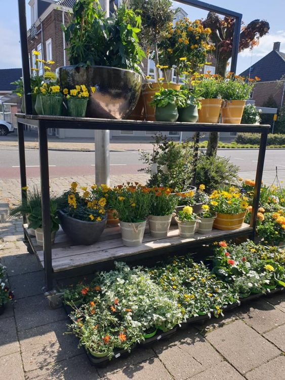 BUITEN PLANTEN —