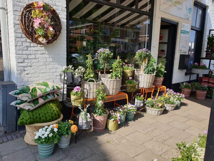BUITEN PLANTEN —